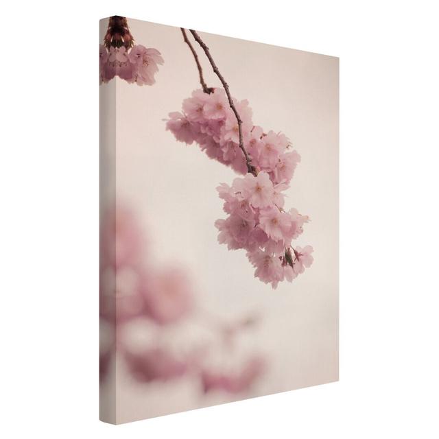 Delicate Pink Spring Blossom with Bokeh by Monika Strigel - Wrapped Canvas Photograph Ebern Designs Size: 90cm H x 60cm W, Format: 330g/m³ recycled ca on Productcaster.