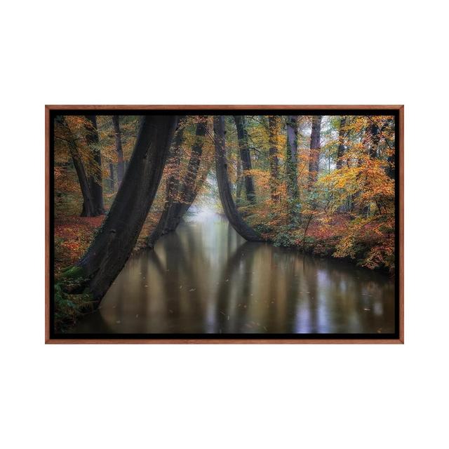 Enchanted Autumn by Fiorenzo Carozzi - Floater Frame Print on Canvas Union Rustic Format: Brown, Size: 66.04cm H x 101.6cm W x 3.81cm D on Productcaster.