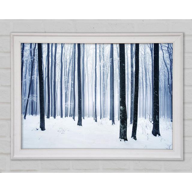 Winter Magic Framed Print Union Rustic Size: 59.7cm H x 84.1cm W x 1.5cm D on Productcaster.