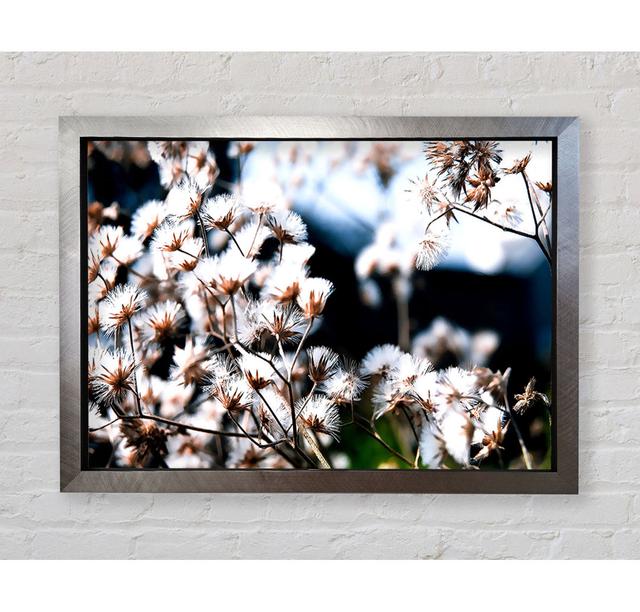 Single Picture Frame Art Prints Ebern Designs Size: 42.1cm H x 59.7cm W x 3.4cm D, Format: Ventura Silver Framed Paper on Productcaster.