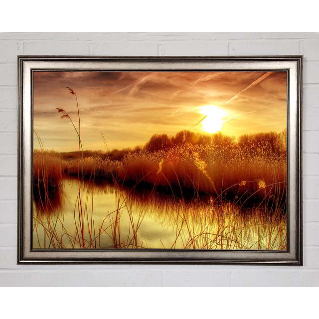 Sunset at Bieslandse Forest - Single Picture Frame Art Prints August Grove Size: 21cm H x 29.7cm W on Productcaster.