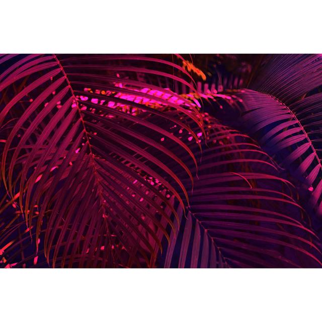 Heverlee Photo Of Palm Leaves In Neon Lighting - Wrapped Canvas Photograph Bay Isle Home Size: 20cm H x 30cm W x 3.8cm D on Productcaster.