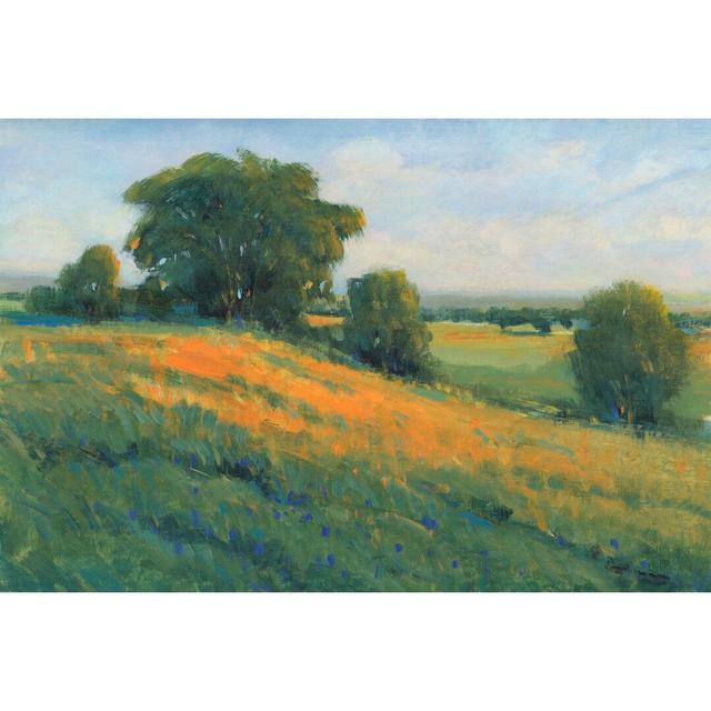 Poppy Fields I by Tim O'Toole - Wrapped Canvas Painting Rosalind Wheeler Size: 30cm H x 46cm W x 3.8cm D on Productcaster.