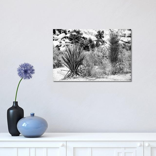 Desert Plants by Philippe Hugonnard - Wrapped Canvas Print Natur Pur Size: 30.48cm H x 45.72cm W x 1.91cm D on Productcaster.