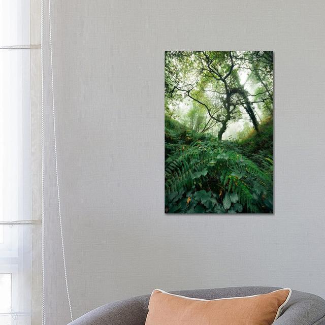 Inside The Woods by Stefan Hefele - Gallery-Wrapped Canvas Giclée on Canvas Alpen Home Format: Canvas, Size: 66.04cm H x 45.72cm W x 1.905cm D on Productcaster.