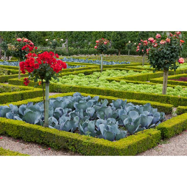 Garden In Chateau De Villandry by Wjarek - Wrapped Canvas Print 17 Stories Size: 30cm H x 46cm W on Productcaster.