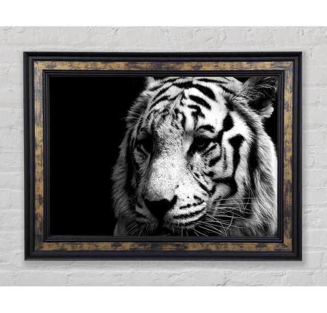 Tiger Black And White - Single Picture Frame Art Prints Bright Star Size: 42cm H x 59.7cm W x 8cm D on Productcaster.