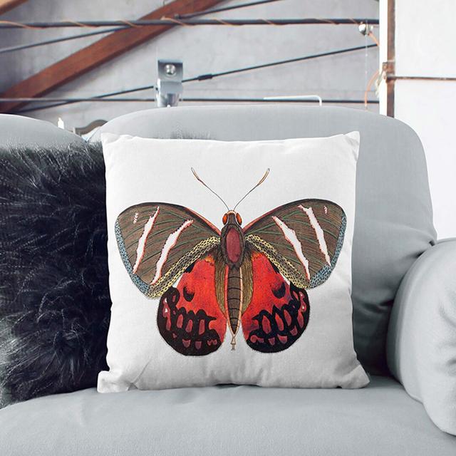 Icarus Moth by George Shaw Cushion with Filling East Urban Home Size: 40cm H x 40cm W x 15cm D, Backing Colour: White on Productcaster.