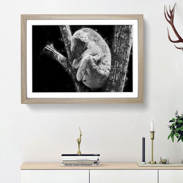 Koala Bear Resting in a Tree - Picture Frame Photograph Print East Urban Home Frame Option: Oak Framed, Size: 48cm H x 65cm W x 2cm D on Productcaster.