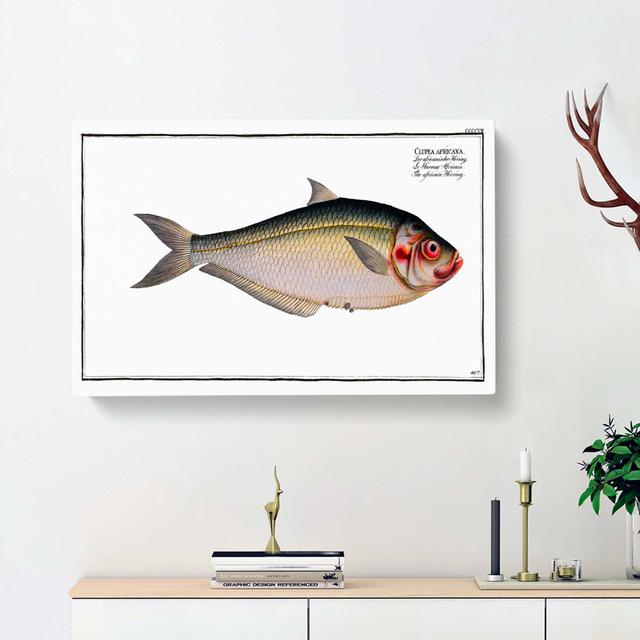 African Herring Fish - Wrapped Canvas Painting East Urban Home Size: 50cm H x 76cm W x 3cm D on Productcaster.