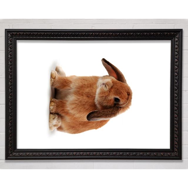 Bunny Sad Ears - Single Picture Frame Art Prints Bright Star Size: 141.4cm H x 100cm W on Productcaster.