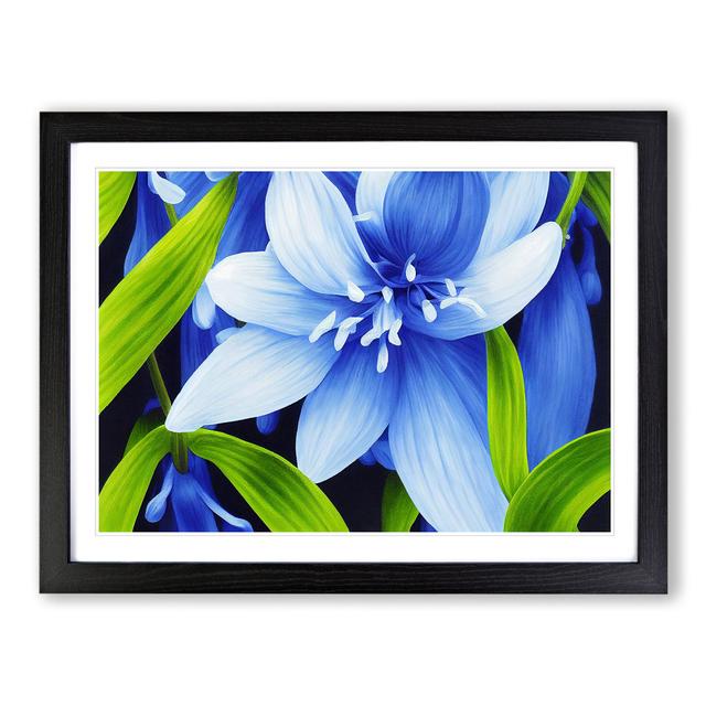 Decorated Flower - Picture Frame Graphic Art ClassicLiving Frame Colour: Black, Size: 34cm H x 46cm W x 2cm D on Productcaster.