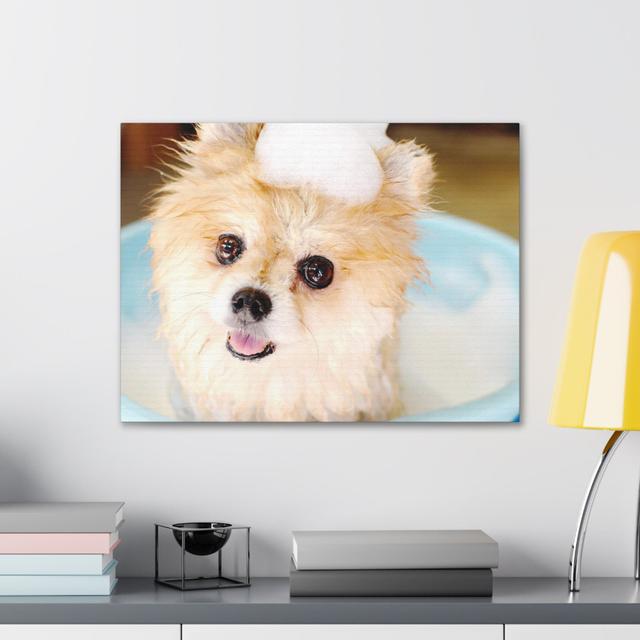 Cute Pomeranian Bathee Canvas Wall Art Happy Larry on Productcaster.