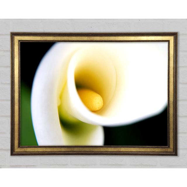 White Calla Lily Framed Print Ebern Designs Size: 29.7cm H x 42cm W x 1.5cm D on Productcaster.