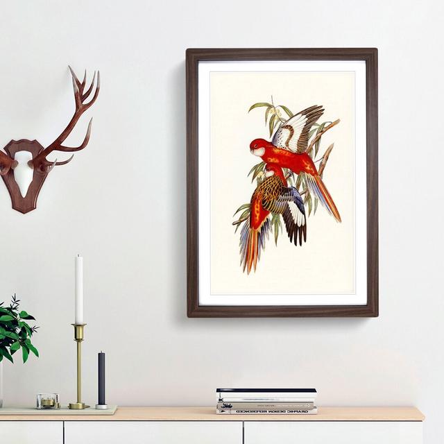 Fiery Parakeets by Elizabeth Gould - Picture Frame Art Print East Urban Home Size: 48cm H x 36cm W x 2cm D, Frame Option: Walnut Framed on Productcaster.