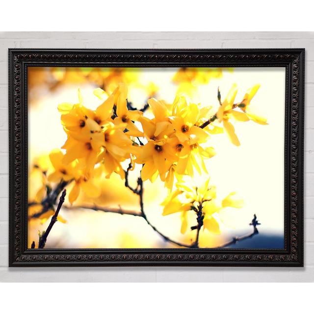 Yellow Tree Flower - Single Picture Frame Art Prints Bright Star Size: 21cm H x 29.7cm W on Productcaster.