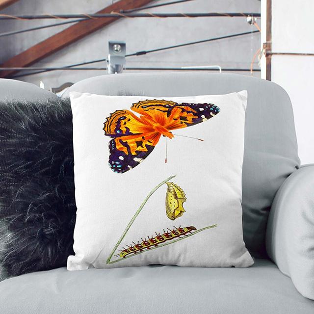 Caterpillar & Painted Lady Butterfly by George Shaw Cushion with Filling East Urban Home Backing Colour: Stone, Size: 55cm H x 55cm W x 20cm D on Productcaster.