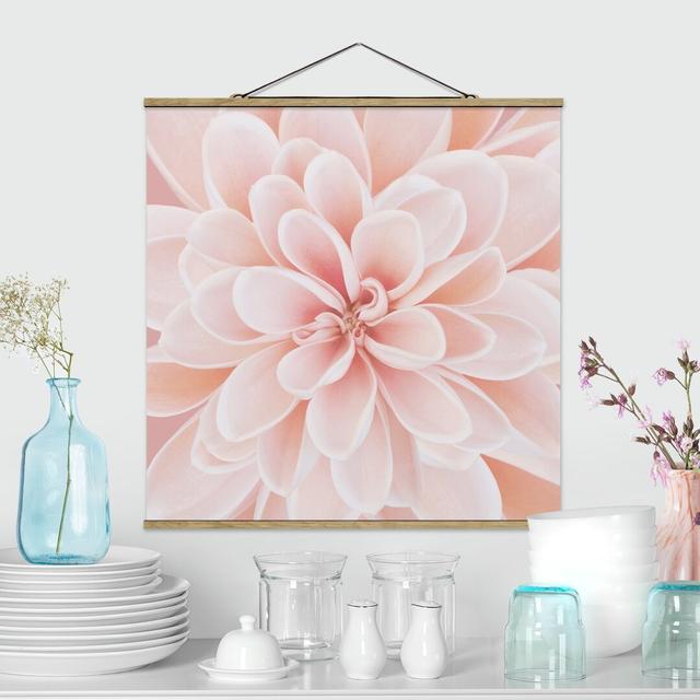 Stoffbild Dahlia in Pastel Pink Mercer41 Maße: 50 cm H x 50 cm B x 0,3 cm T on Productcaster.