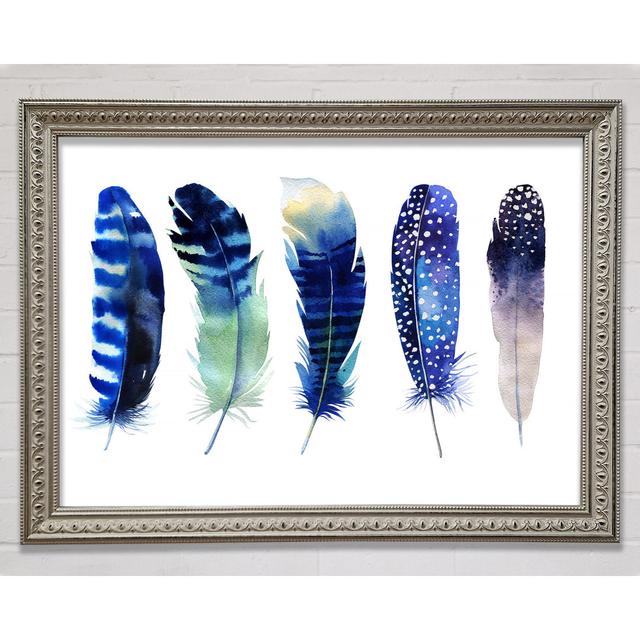 Night Feathers - Print Latitude Vive Format: Silver Framed Paper, Size: 42cm H x 59.7cm W x 3cm D on Productcaster.