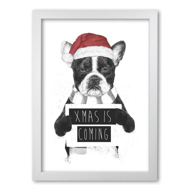 'Xmas is Coming' Graphic Art East Urban Home Size: 42 cm H x 29.7 cm W x 5 cm D, Frame Options: White Grain on Productcaster.