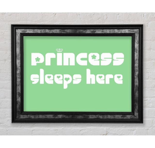 Nursery Quote Princess Sleeps 2 Framed Print Happy Larry Colour: Green, Size: 59.7cm H x 84.1cm W on Productcaster.