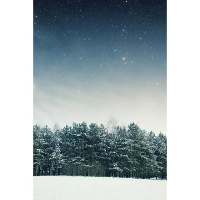 Winter Night in the Park - Wrapped Canvas Photograph Union Rustic Size: 91cm H x 61cm W on Productcaster.