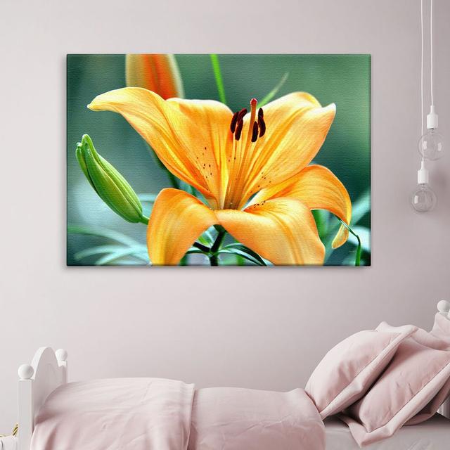 Lily Photographic Print on Canvas East Urban Home Size: 100cm H x 150cm W x 2.5cm D on Productcaster.