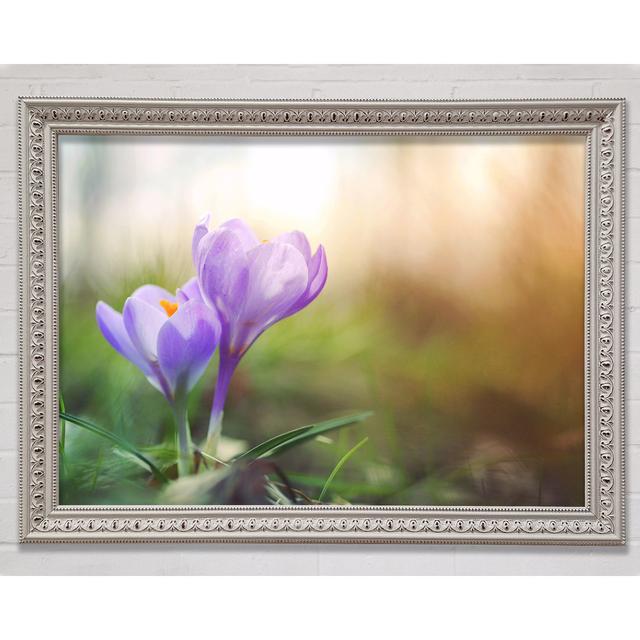 Single Picture Frame Art Prints Ebern Designs Size: 29.7cm H x 42cm W on Productcaster.