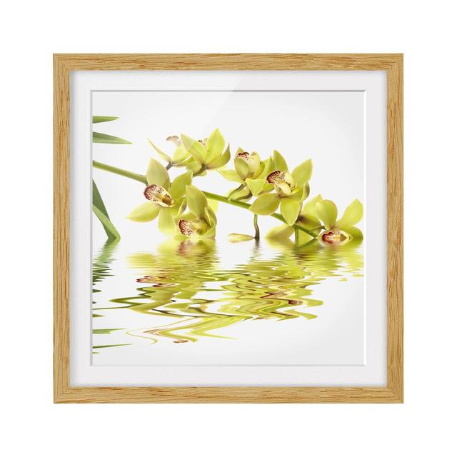 Elegant Orchid Waters Framed Art Print Poster East Urban Home Rahmenoptionen: Natural oak, Size: 70cm H x 70cm W on Productcaster.