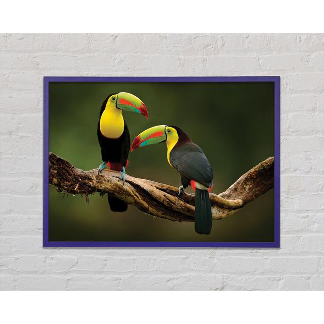 Two Toucans On Branch - Single Picture Frame Art Prints Bay Isle Home Size: 29.7cm H x 42cm W x 2cm D on Productcaster.