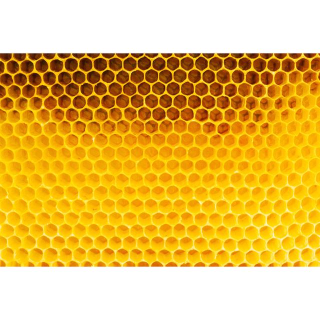 Lincolnshire Honeycomb by Piotr_malczyk - Print Latitude Run Size: 61cm H x 91cm W x 3.8cm D on Productcaster.