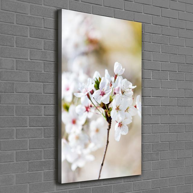 Andersonville Cherry Blossoms - Wrapped Canvas Art Prints Ebern Designs on Productcaster.