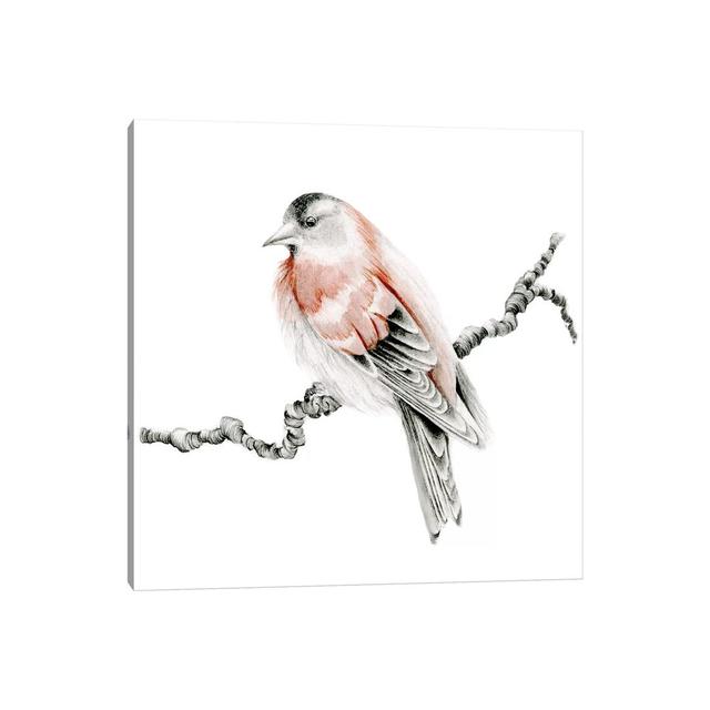 Red Bird by Joanna Haber - Wrapped Canvas Painting ClassicLiving Size: 45.72cm H x 45.72cm W x 3.81cm D on Productcaster.