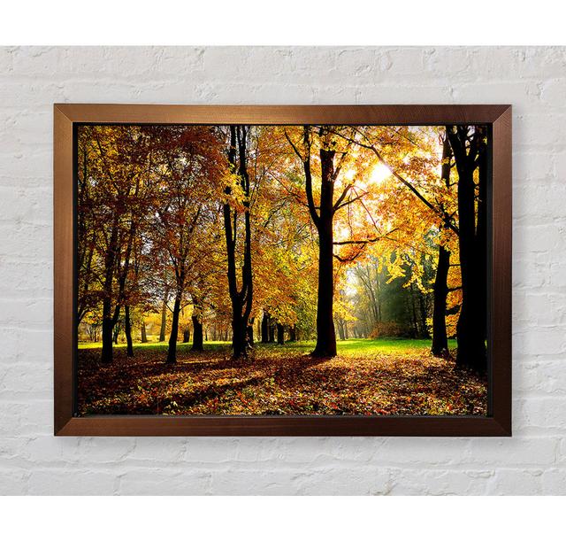 Single Picture Frame Art Prints Union Rustic Size: 100cm H x 141.4cm W on Productcaster.