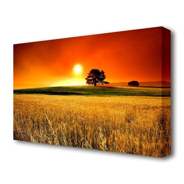 'Sunny Day Sunset' - Wrapped Canvas Photographic Print East Urban Home Size: 35.6 cm H x 50.8 cm W on Productcaster.