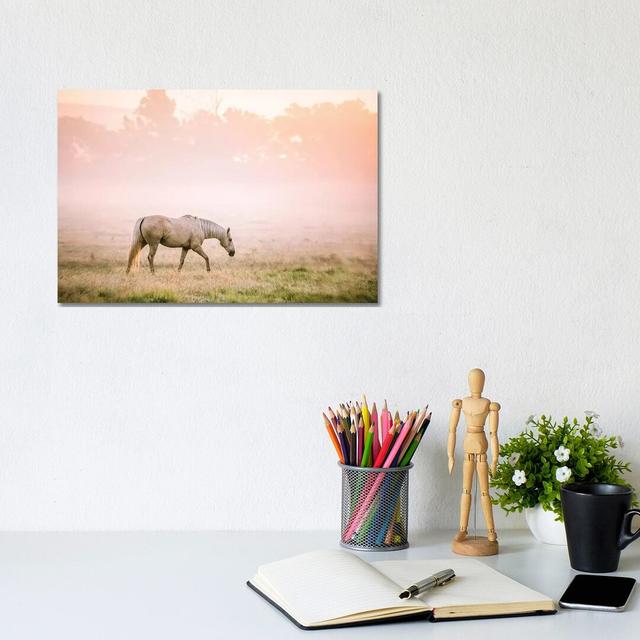 Palomino Horse at Sunrise by Teri James - Wrapped Canvas Art Prints Alpen Home Size: 20.32cm H x 30.48cm W on Productcaster.