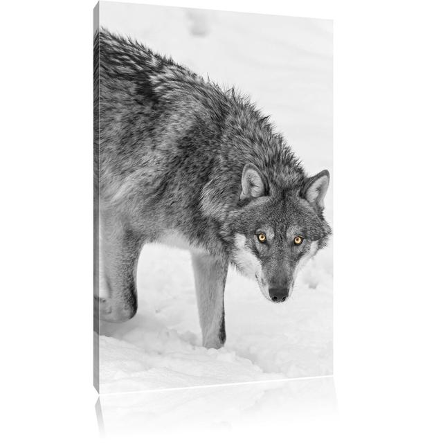 Leinwandbild Einsamer Wolf im Schnee East Urban Home Größe: 120 cm H x 80 cm B on Productcaster.