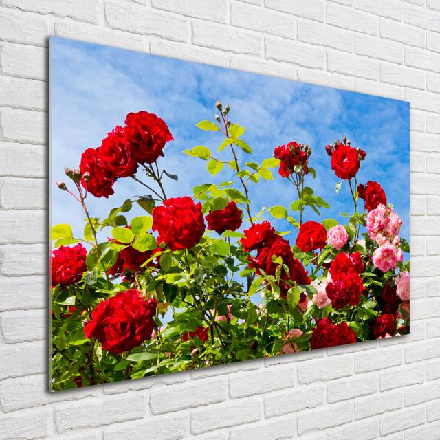 Wild Roses - Unframed Art Prints on Glass Ebern Designs on Productcaster.