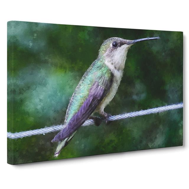 Hummingbird Vol.3 - Wrapped Canvas Graphic Art East Urban Home Size: 50cm H x 76cm W x 3cm D on Productcaster.