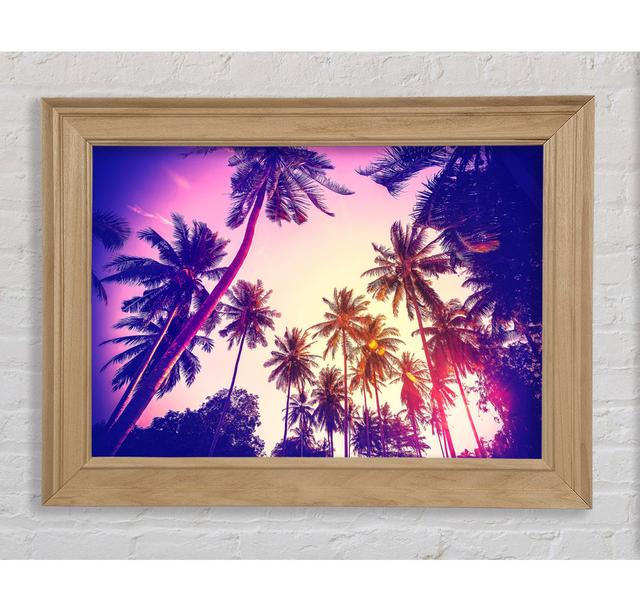 Palm Tree Glow - Single Picture Frame Art Prints Bright Star Size: 29.7cm H x 42cm W x 8cm D on Productcaster.