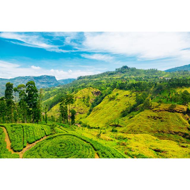 Waterfall Valley Near Nuwara Eliya by Danilovi - Wrapped Canvas Art Prints Alpen Home Size: 40cm H x 60cm W on Productcaster.