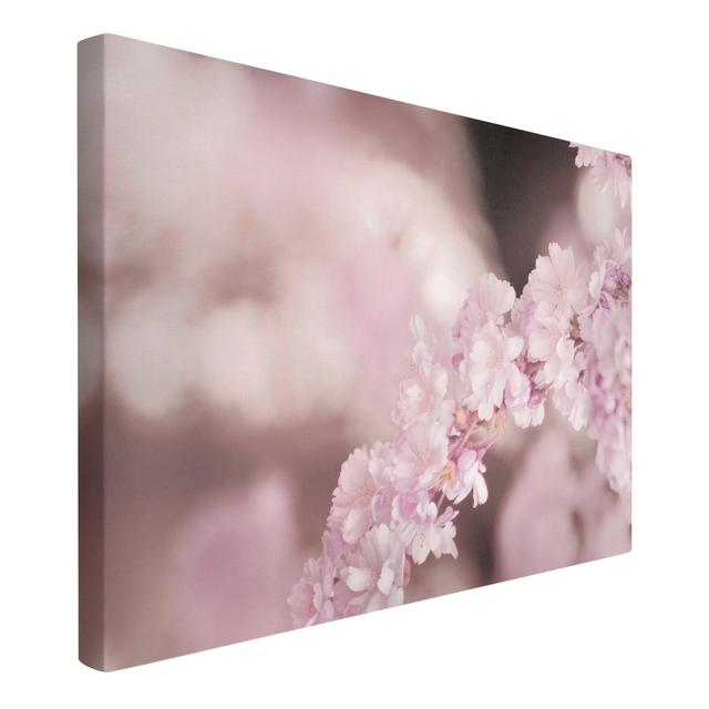 Cherry blossom in violet light Ebern Designs Format: 260g/m² canvas, Frame Option: Light pink, Size: 40cm H x 60cm W on Productcaster.