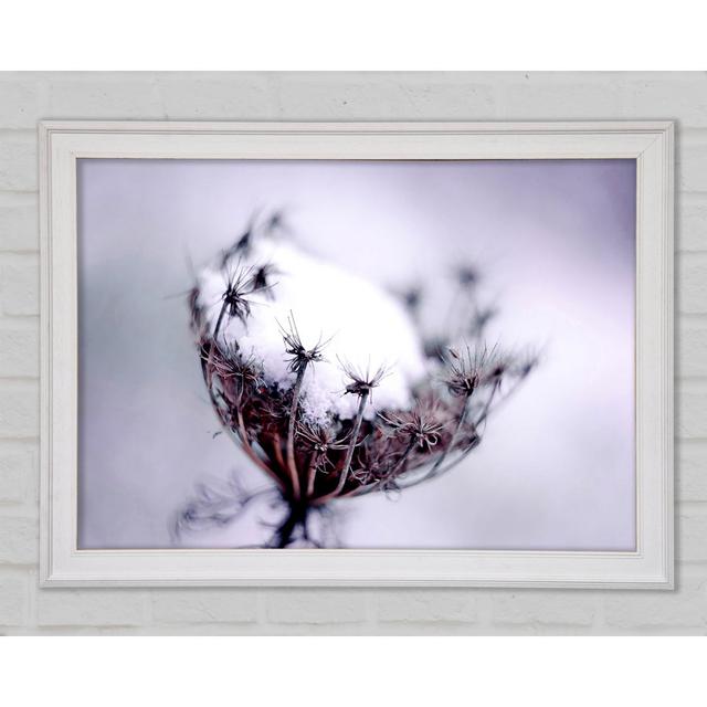 Single Winter Flower - Print Brayden Studio Size: 29.7cm H x 42cm W x 1.5cm D, Format: White Framed Paper on Productcaster.