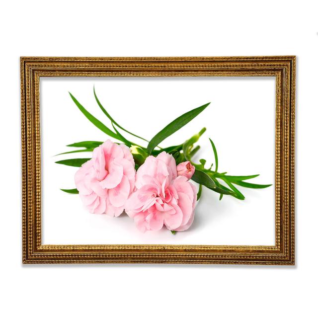 Pink Flowers Laid Out - Single Picture Frame Art Prints Ebern Designs Size: 29.7cm H x 42cm W x 3cm D on Productcaster.