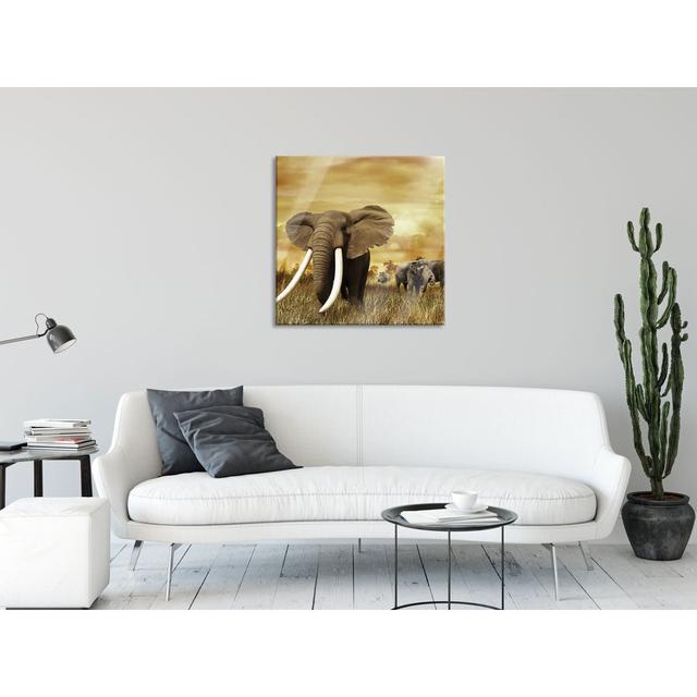 Proud Elephant in the Savannah - Unframed Photograph on Glass Ebern Designs Size: 80cm H x 80cm W x 0.4cm D on Productcaster.