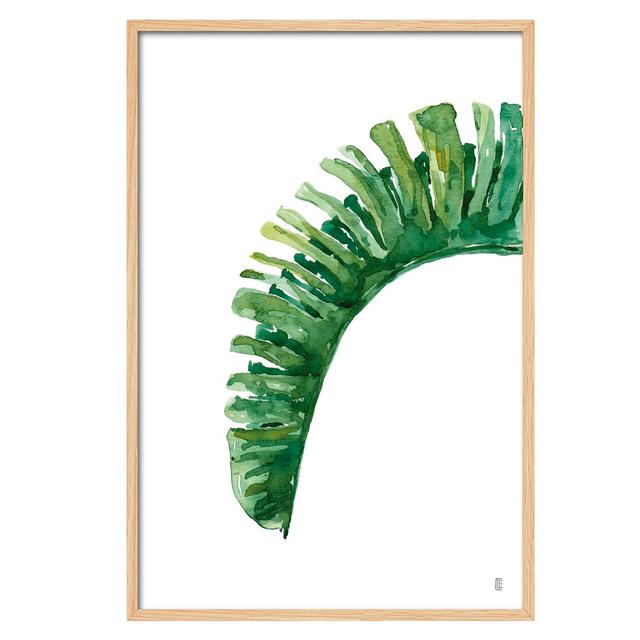 'Planta Ortiz V' by Cesar Ortiz Echagüe - Picture Frame Painting Print on Paper Bay Isle Home Size: 90cm H x 60cm W x 3cm D on Productcaster.