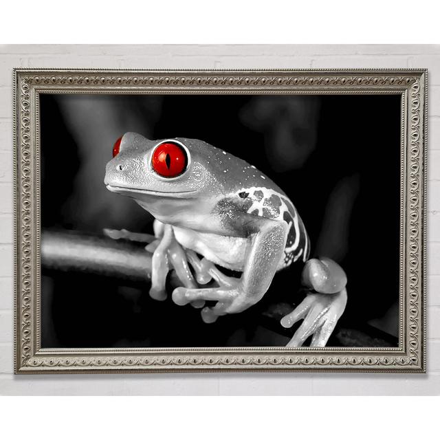 Rotäugiger Frosch - Druck Sansibar Home Größe: 100 cm H x 141,4 cm B on Productcaster.