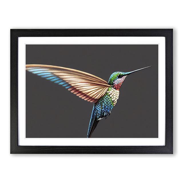 Seductive Hummingbird - Picture Frame Graphic Art 17 Stories Frame Colour: Black , Size: 25cm H x 34cm W x 2cm D on Productcaster.