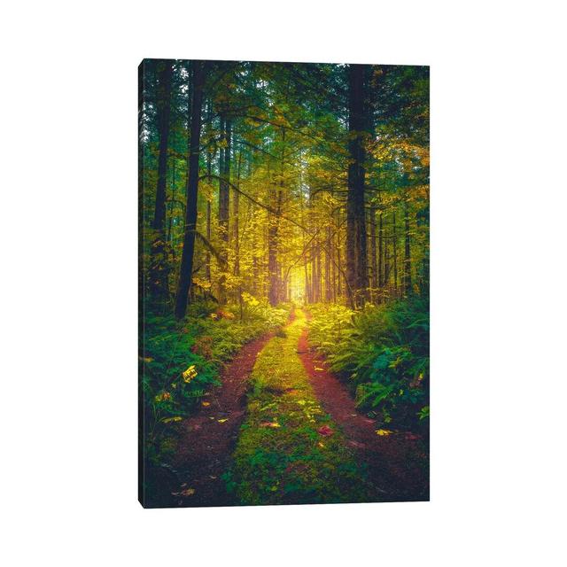 The Forest Of Dreams by Zach Doehler - Print on Canvas Union Rustic Format: Wrapped Canvas, Size: 66.04cm H x 45.72cm W x 3.81cm D on Productcaster.