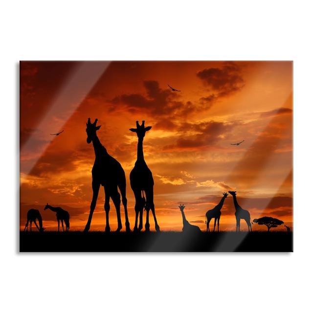 Ungerahmtes Foto auf Glas "African Giraffes in the Sunset" Brayden Studio Größe: 70 cm H x 100 cm B x 0,4 cm T on Productcaster.